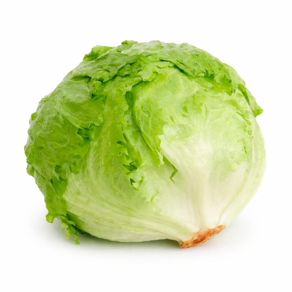Lechuga x500 gr